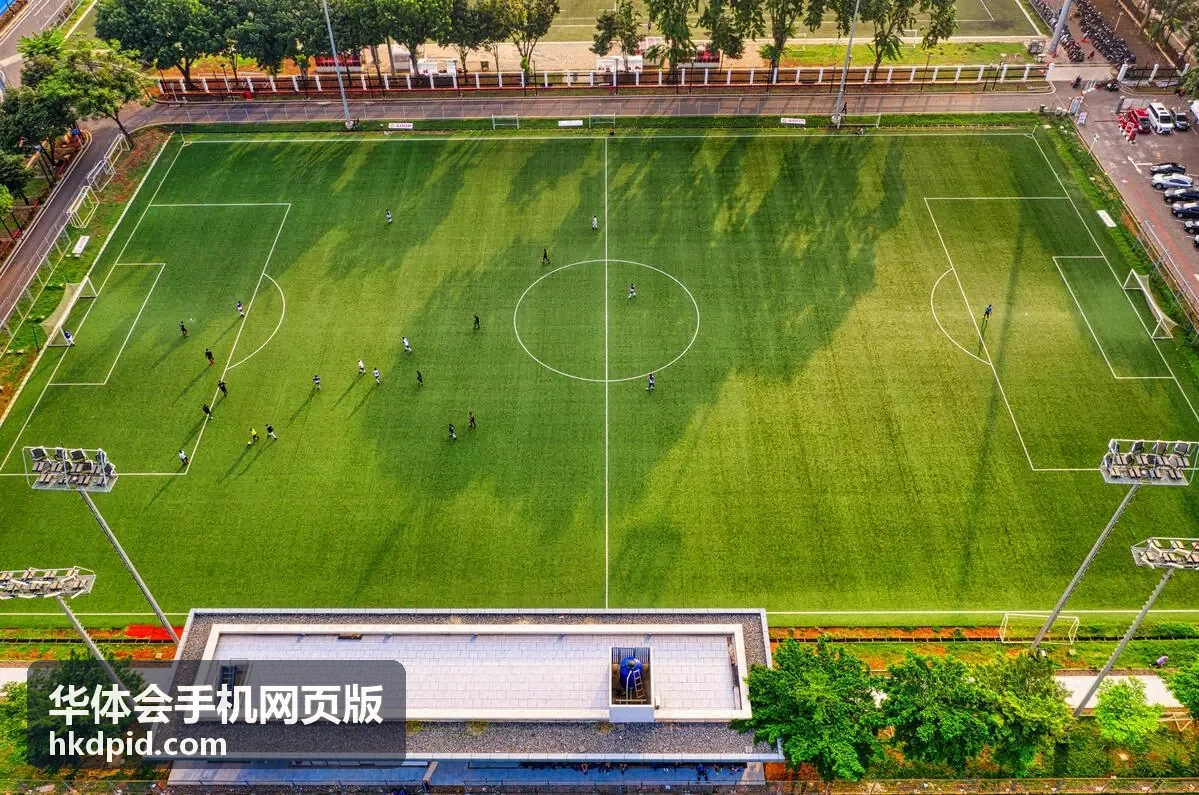 华体会手机网页版专题合集首屏封面