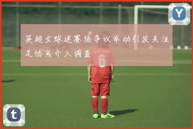 英超女球迷赛场争议举动引发关注足协或介入调查