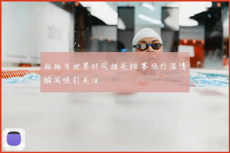 狗狗与世界杯同框亮相 赛场外温情瞬间吸引关注